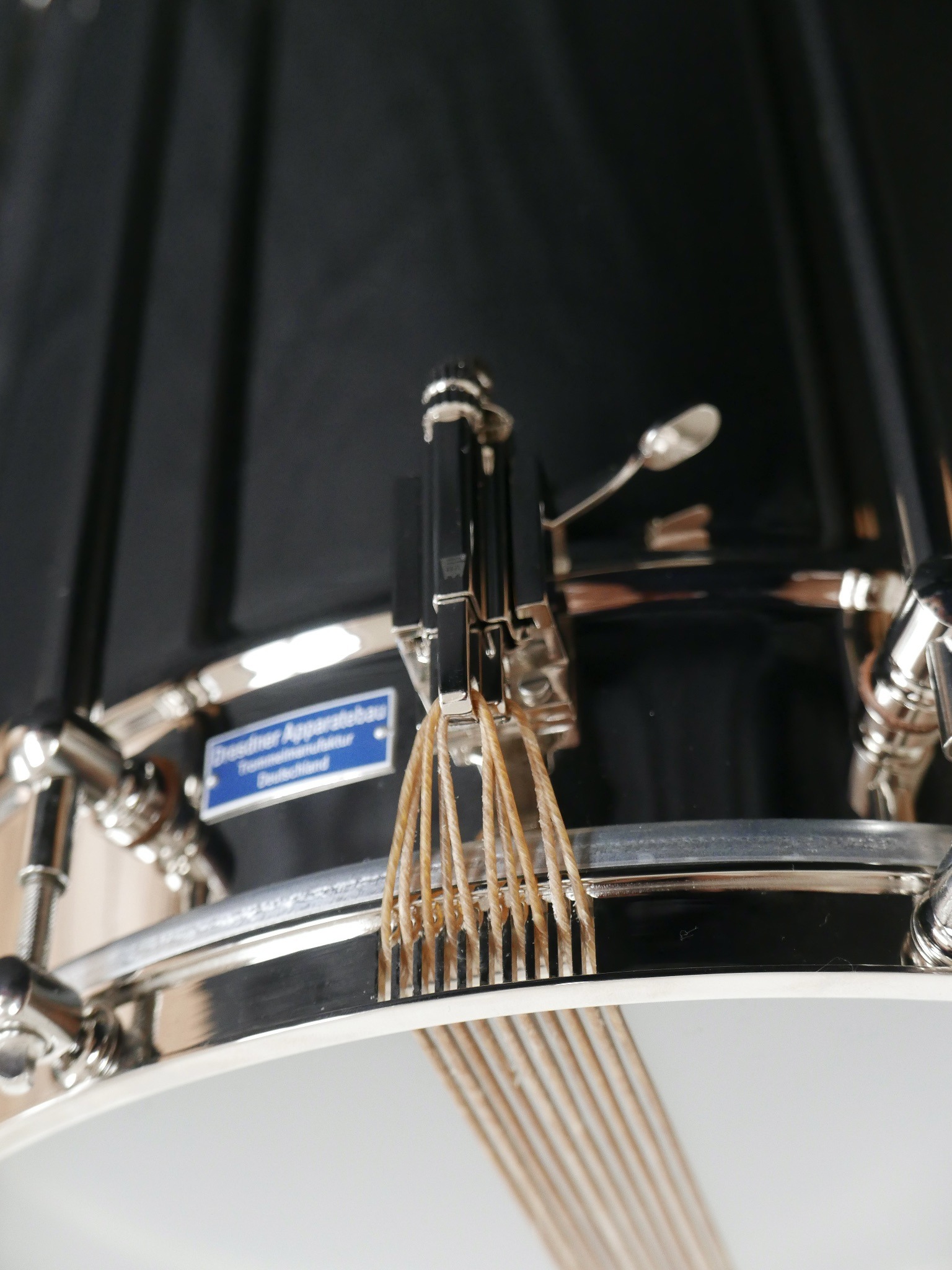 Schnarrsaiten Natur fuer RIENZI